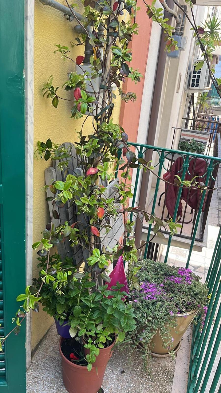La Casa Di Nonna Sisina Villa โมลา ดิ บารี ภายนอก รูปภาพ